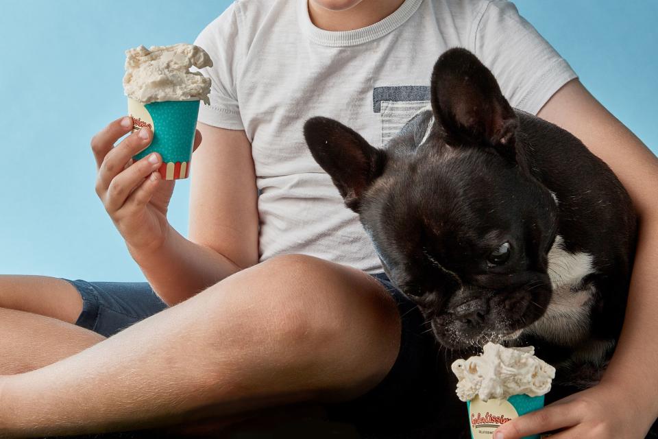 Icecream for you and your dog