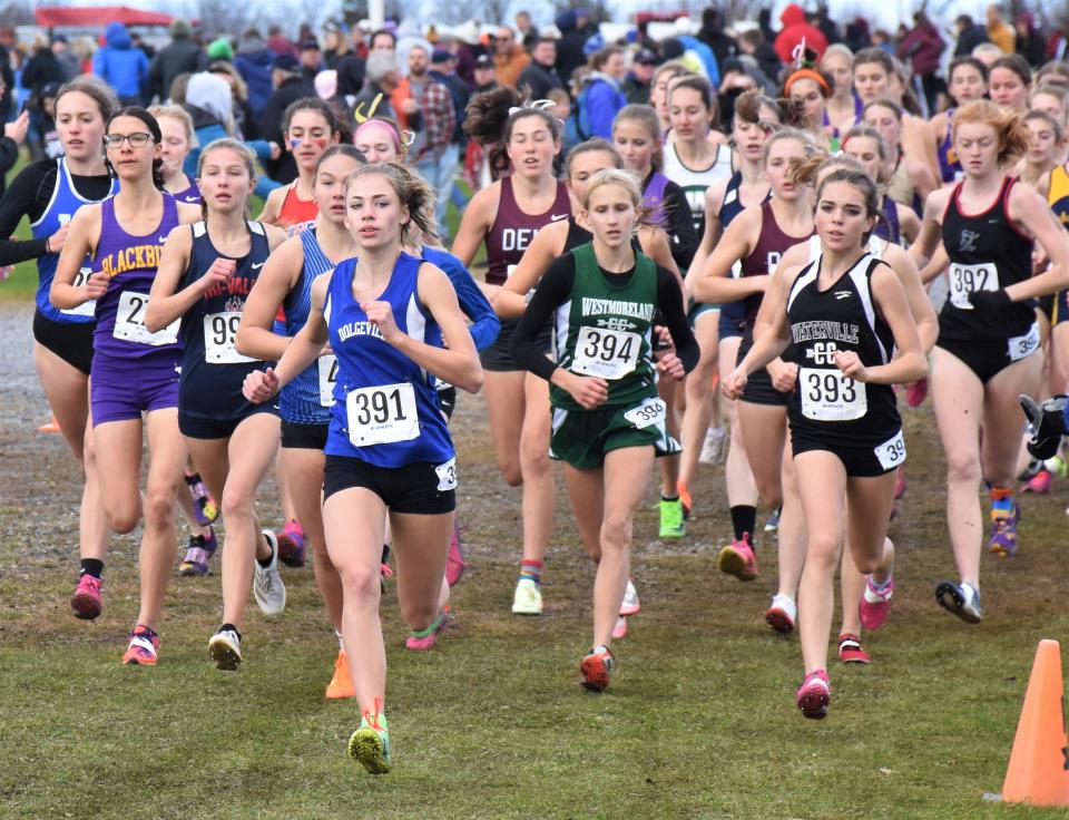 Center State Conference runners Grace Seeley (391) of Dolgeville, Emma Szarek (394) of Westmoreand and Miranda Mathews (393) of Waterville raced out to the lead at the start of the Class D girls race at the NYSPHSAA championship meet.