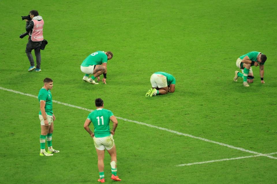 Ireland and France both suffered World Cup heartbreak (Getty)