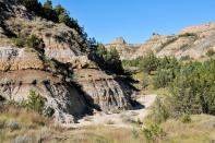 <p>Step back in time when bison roamed the plains and Teddy Roosevelt tried his hand at cattle ranching. The <a href="https://www.nps.gov/thro/planyourvisit/caprock-coulee-nature-trail.htm" rel="nofollow noopener" target="_blank" data-ylk="slk:Caprock Coulee Nature Trail;elm:context_link;itc:0;sec:content-canvas" class="link ">Caprock Coulee Nature Trail</a> is a 4.4 mile loop that's located near Watford City, North Dakota, where you may experience chance encounters with bison, horses, and garter snakes along the grasslands. Two popular outlooks include Wind Canyon and Buck Hill.</p>