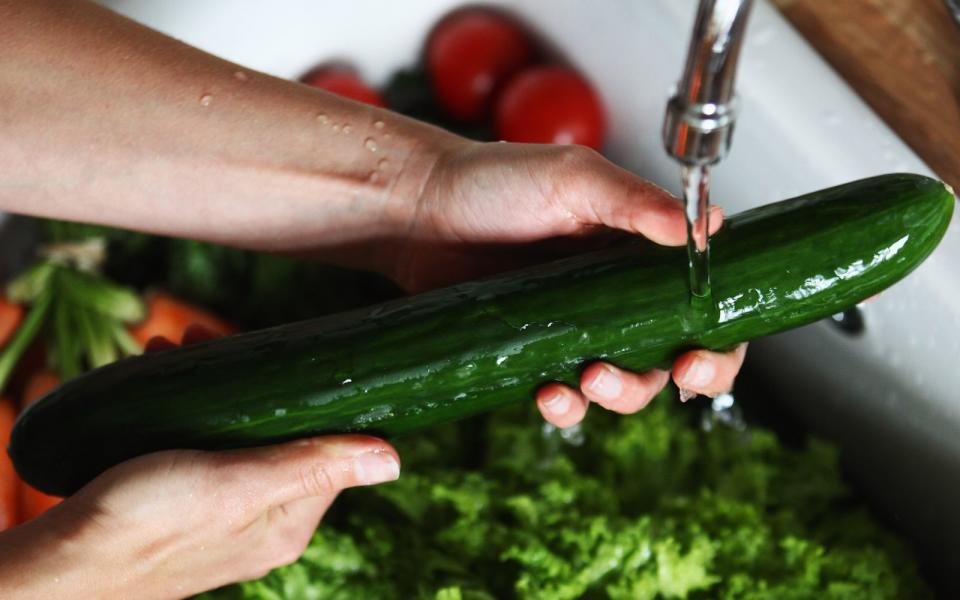 <p>Sie schmeckt einfach nach Sommer: die Gurke. Kein Wunder, mit ihrem Wassergehalt von bis zu 95 Prozent ist sie herrlich erfrischend. Ob im Salat oder als Anreicherung für Ihr Trinkwasser, die Gurke ist ein echtes Allroundtalent. (Bild: 2011 Getty Images/Joern Pollex)</p>