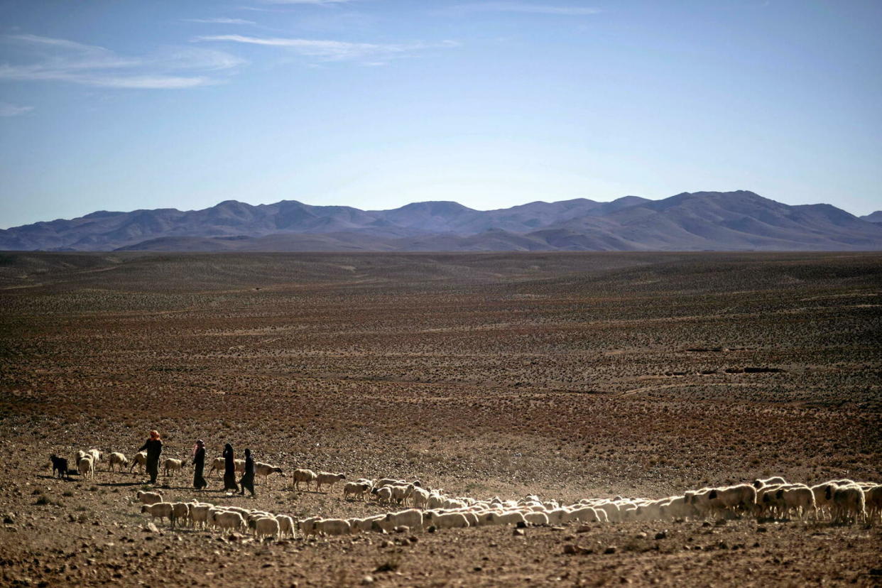 Le Maroc fait face à sa sixième année consécutive de sécheresse et connaît des records de températures.  - Credit:Mosa'ab Elshamy/AP/SIPA