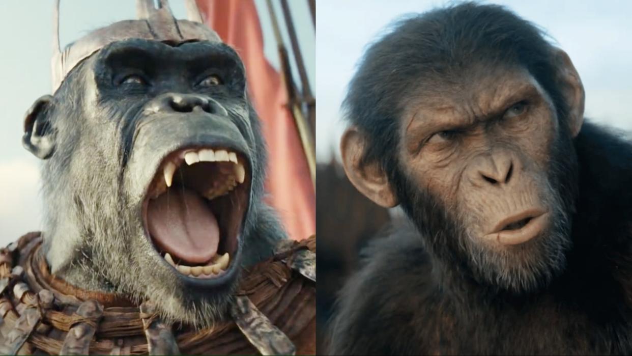  Stills from Kingdom of the Planet of the Apes. 