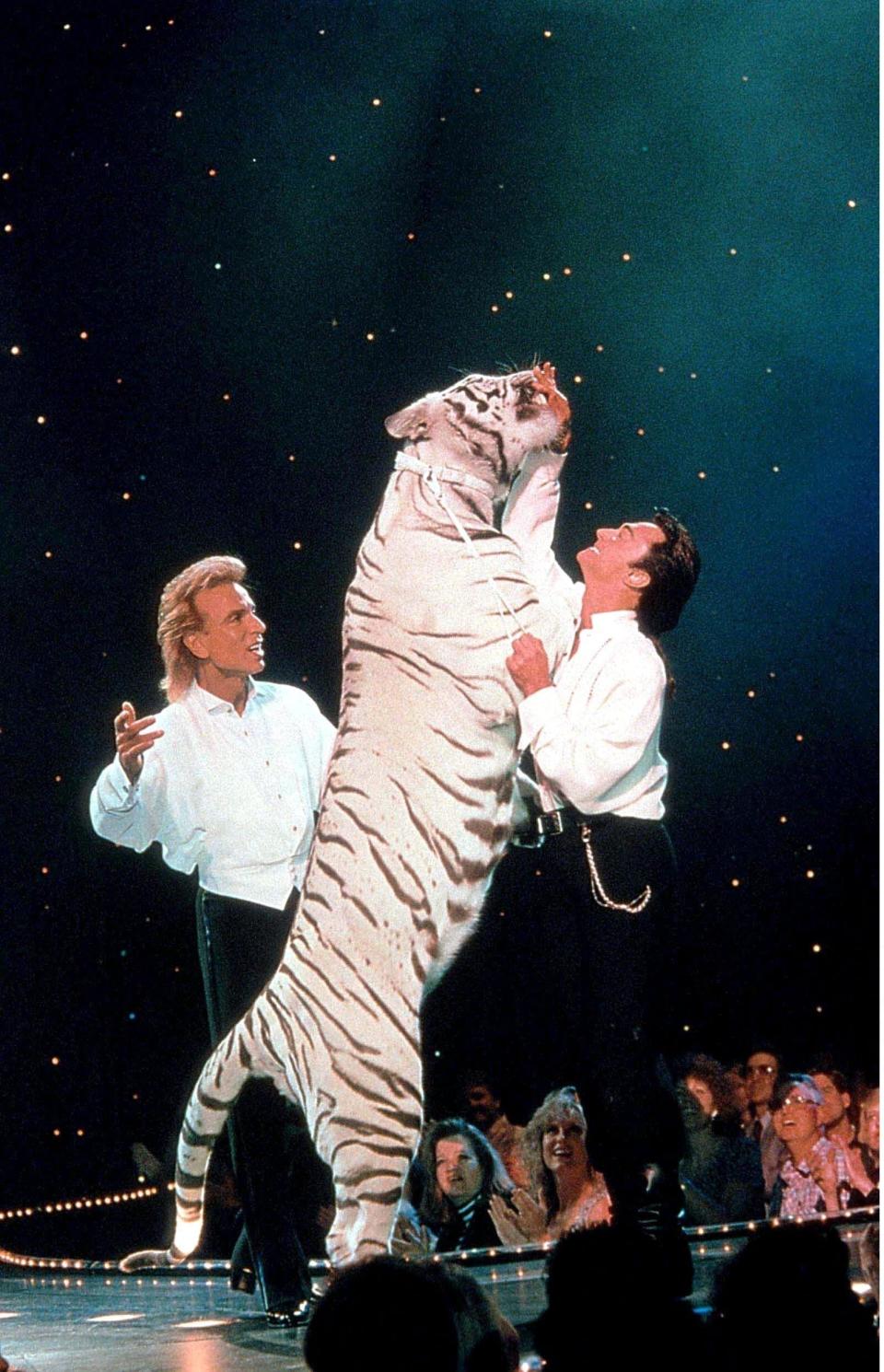  Siegfried and Roy performing with a white tiger in 2002 - Willi Schneider/Shutterstock