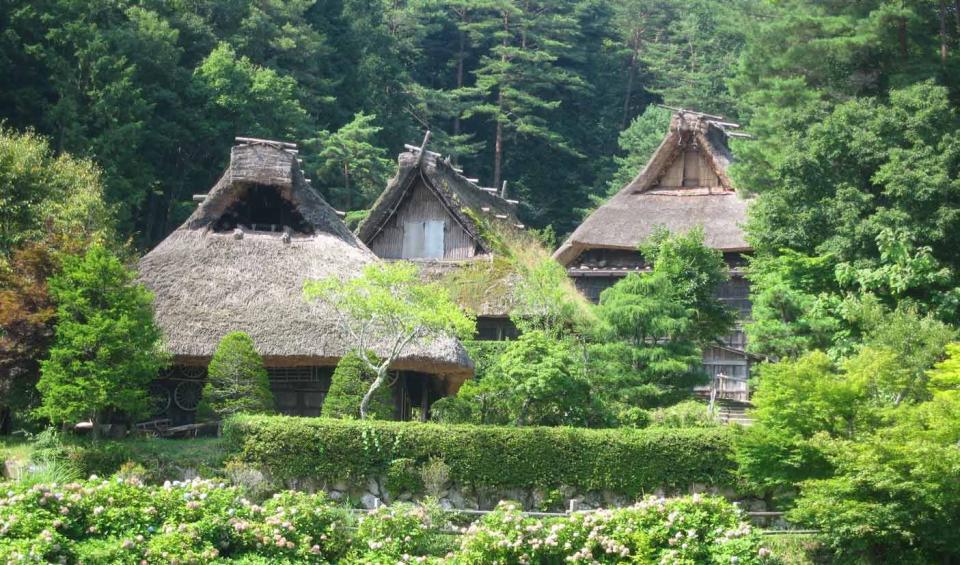 6) For World Travelers: A Self-Guided Tour of Tokyo, Kyoto, and More