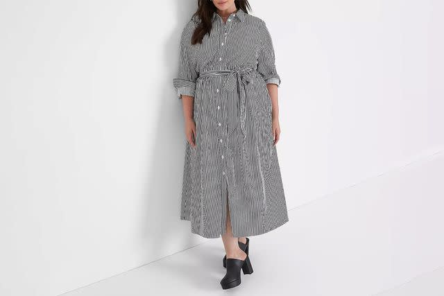 <p>Lane Bryant</p>