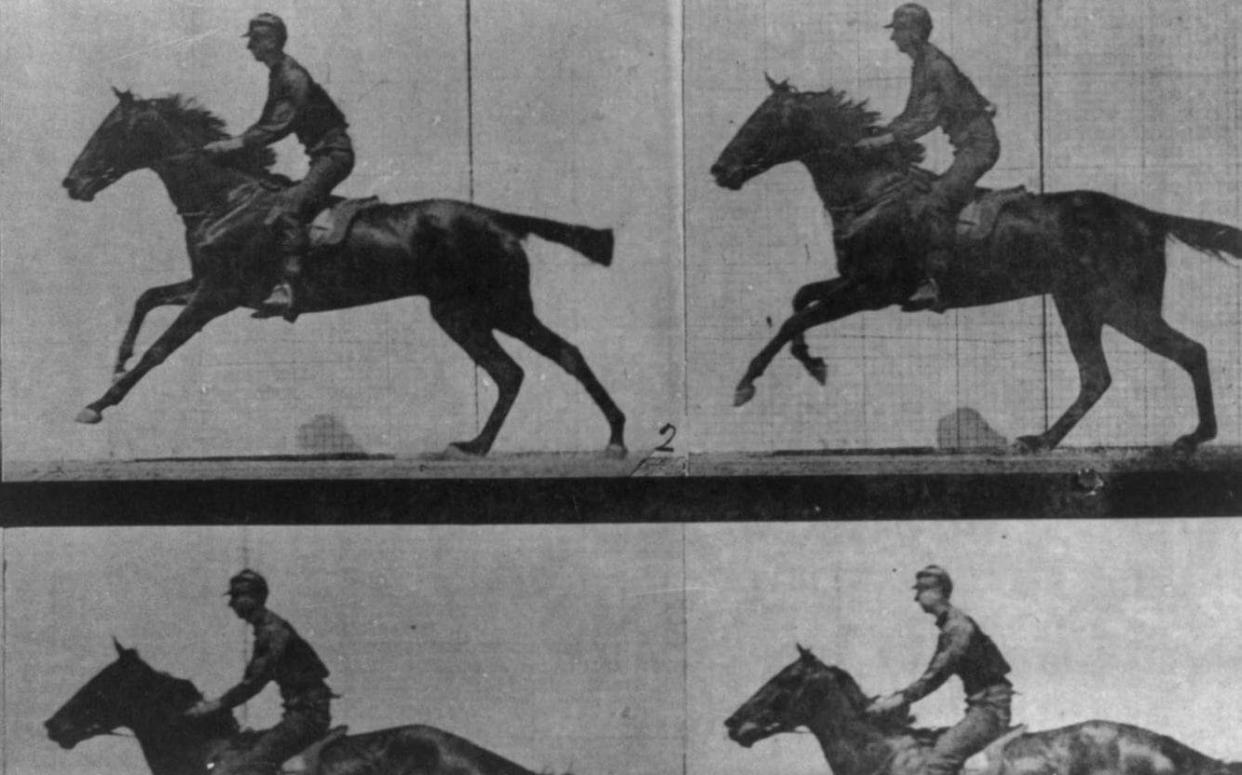 The Horse in Motion by Eadweard Muybridge - Library of Congress