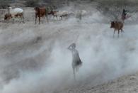 The Wider Image: When raiders menace in northern Kenya, grab your guns