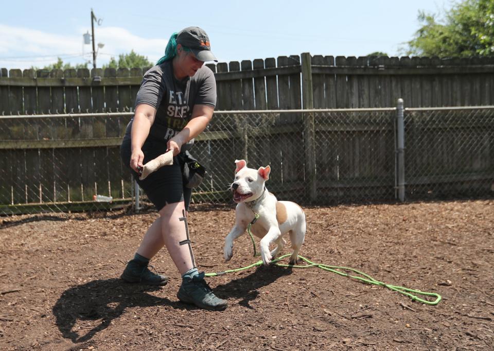 Trainer Blake Forkner works on obedience skills with Rice at Renegade Paws Rescue.