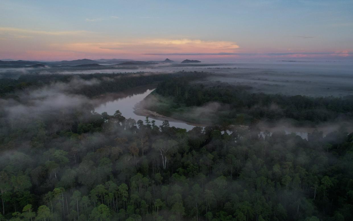 An aerial view of the Kinabatangan river, seen from close to the Danau Girang Research Centre, Kinabatangan, Sabah