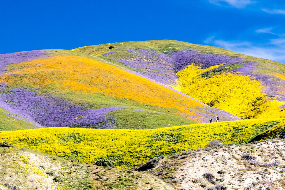 Carrizo Plain National Monument Bob Wick/Bureau of Land Management