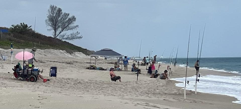 Those fishing for sharks and pompano about a half-mile north of Sebastian Inlet have come in conflict over beach access with residents in the Indian River Oaks subdivision.