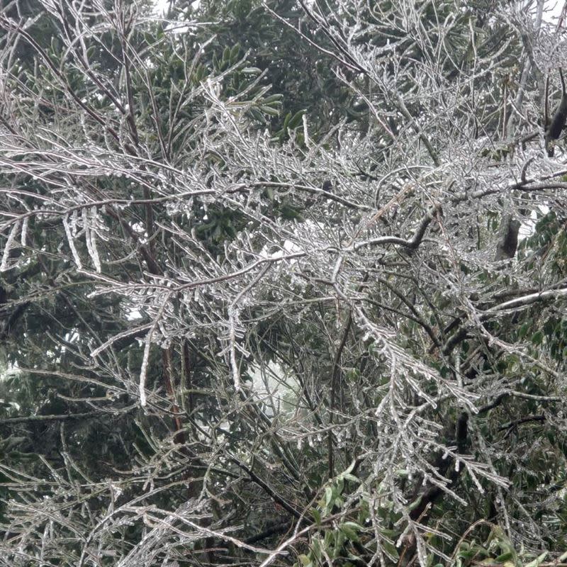 低溫不少人上山追雪，前新竹市長林智堅也PO文大喊：好想去。（圖／翻攝林智堅臉書）