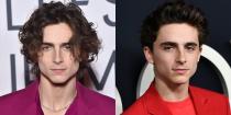 <p><strong>Signature: </strong>Long, messy hair </p><p><strong>Without Signature: </strong>At the <em>Beautiful Boy </em>premiere wearing his hair in a slicked-back bouffant style. </p>