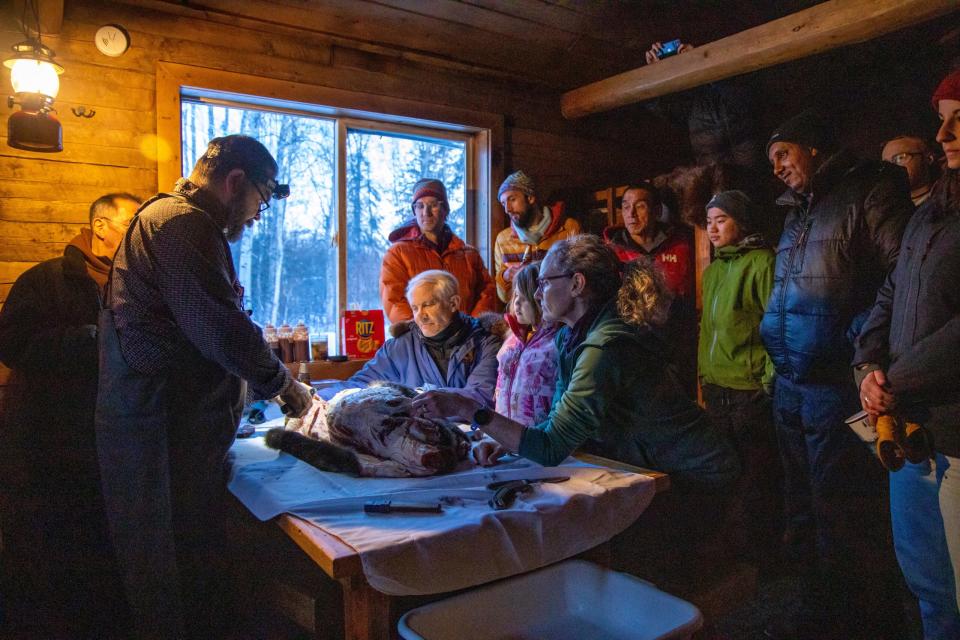 Lance Kramer of Kotzebue demonstrates beaver-skinning techniques on Feb. 27 to attendees of the Arctic Beaver Observation Network workshop in Fairbanks. The group met at the University of Alaska Fairbanks and traveled that day to a cabin along the Chena River for some field activities. (Photo by Marina Barbosa Santos/University of Alaska Fairbanks)