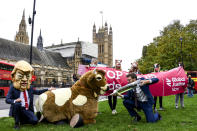 A man imitates the injection of hormones into a man in a cow costume, in Parliament Square, as part of a day of action against the US trade deal, ten days before the US Presidential election, in London, Saturday, Oct. 24, 2020. There will will be protests held nationwide against a proposed US trade deal, opposed by a number of organisations including Global Justice Now and Stop Trump Coalition. (AP Photo/Alberto Pezzali)