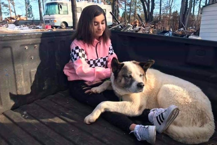 Dog lost after US wildfires back with family... after 101 days