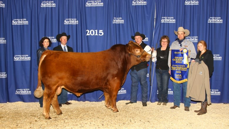 Pricey, award-winning cows and bulls at the Canadian Western Agribition