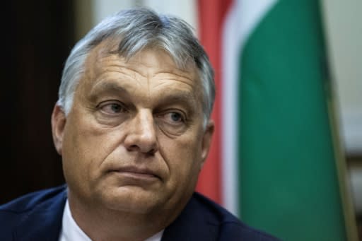Opposition to Orban's vision does not just come from the left as there is disquiet in the main centre right European People's Party (EPP), about his position, despite the grouping including his Fidesz party