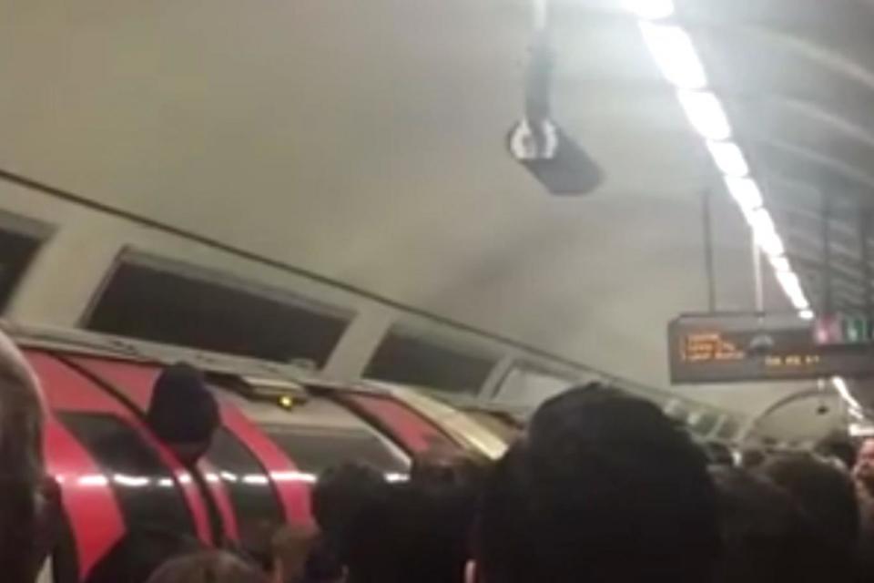 Trapped: The Tube worker's head became stuck between the doors of a Central Line train (Lily Evangeline )