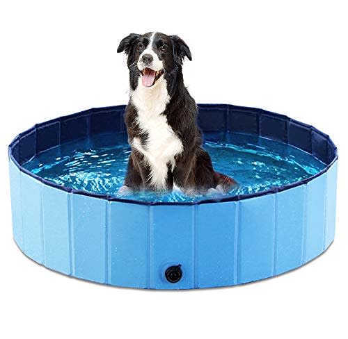 Jasonwell Foldable Dog Pet Bath Pool Collapsible Dog Pet Pool Bathing Tub Kiddie Pool for Dogs Cats and Kids (39.5inch.D x 11.8inch.H, Blue) (AMAZON)