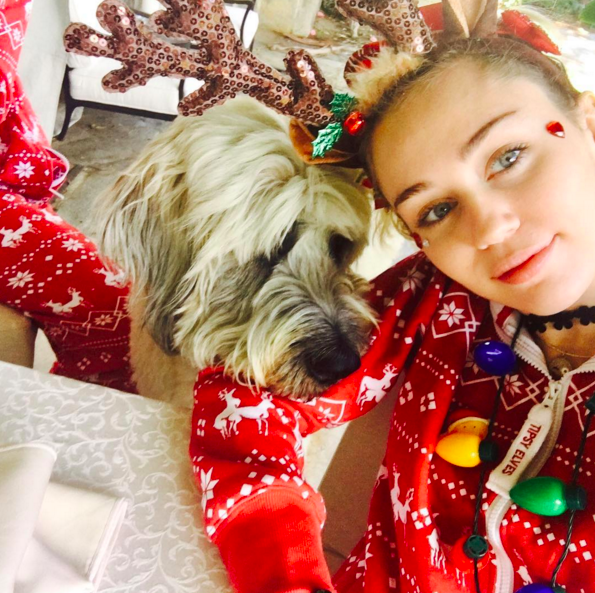 <p>Of course, Miley and Liam’s dogs were also in the holiday spirit! “Dora says ‘Woofy Barkmas,'” shared Cyrus. (Photo: <a rel="nofollow noopener" href="https://www.instagram.com/p/BOdBnsthmUh/" target="_blank" data-ylk="slk:Instagram;elm:context_link;itc:0" class="link ">Instagram</a>) </p>