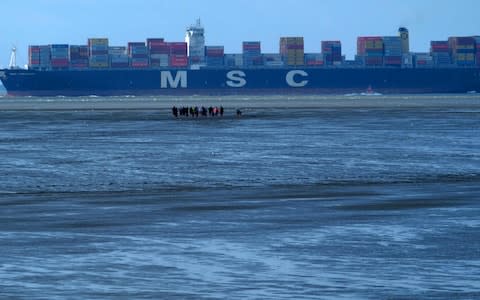 People stand on a sandbank during low tide in front of the container ship, MSC Gulsun as it arrives on August 19, 2019 at the container terminal at Bremerhaven's harbour, northern Germany