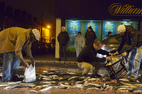 Massive Fish Spilling On Ravenhill Road In Belfast