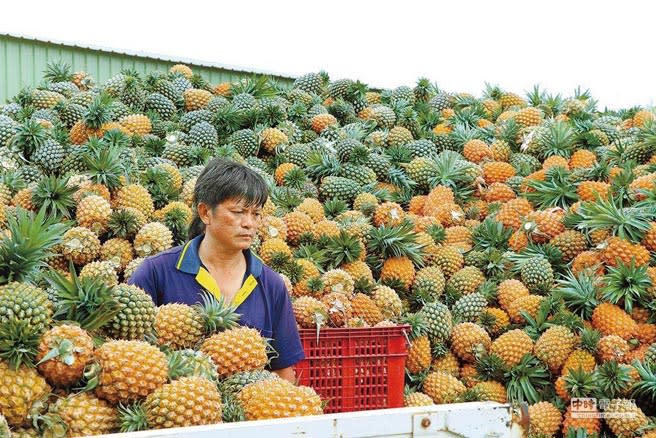 （圖／本報系資料照片）