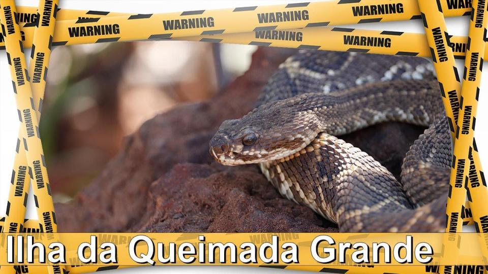 27. Iiha da Queimada Granda - death. You could die by going to Iiha da Queimada Granda. Not because of people or the government, but because of the massive amounts of snake that live on the island called, what else, but 