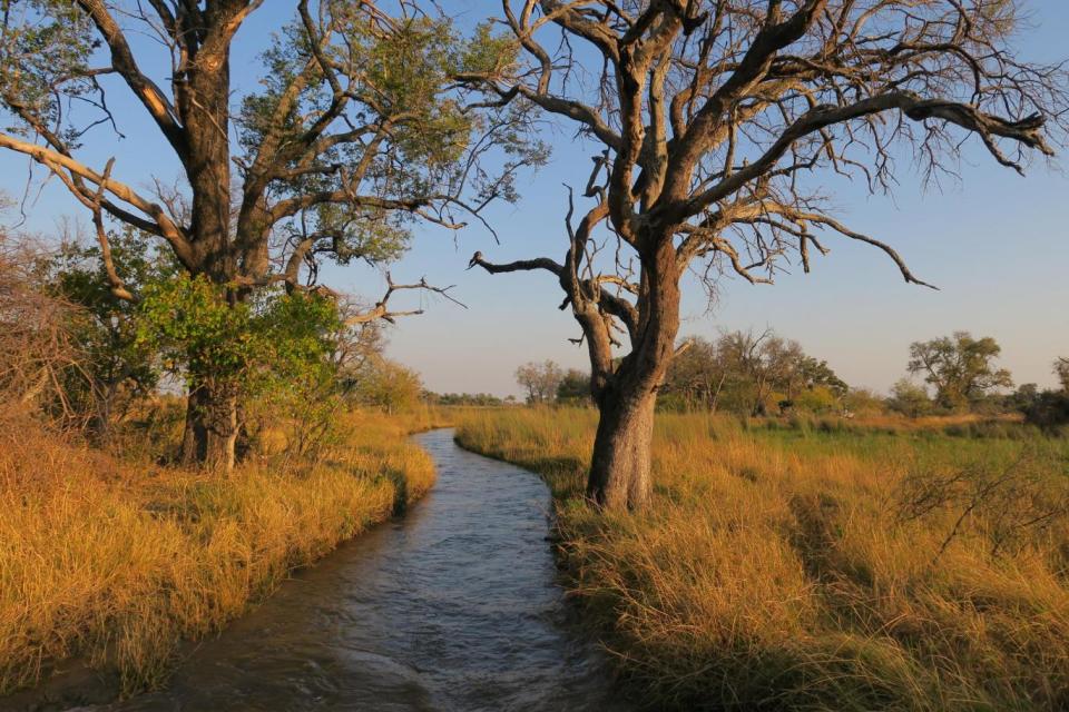 Visitors can explore the Okavango Delta waterways by mokoro (Mary Holland)