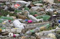 A bird perches on debris looking for food in the Pinheiros River in Sao Paulo, Brazil, Thursday, Oct. 22, 2020. Affected by domestic sewage and solid wastes discharges for years, Sao Paulo's state government is again trying to clean the Pinheiros River, considered one of the most polluted in Brazil. (AP Photo/Andre Penner)