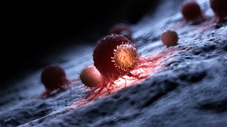 Illustration of white blood cells attacking a cancer cell.