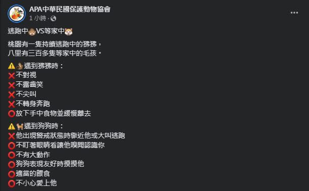 小編跟上「東非狒狒」出逃時事，發揮創意PO文。（圖／翻攝自APA中華民國保護動物協會臉書）