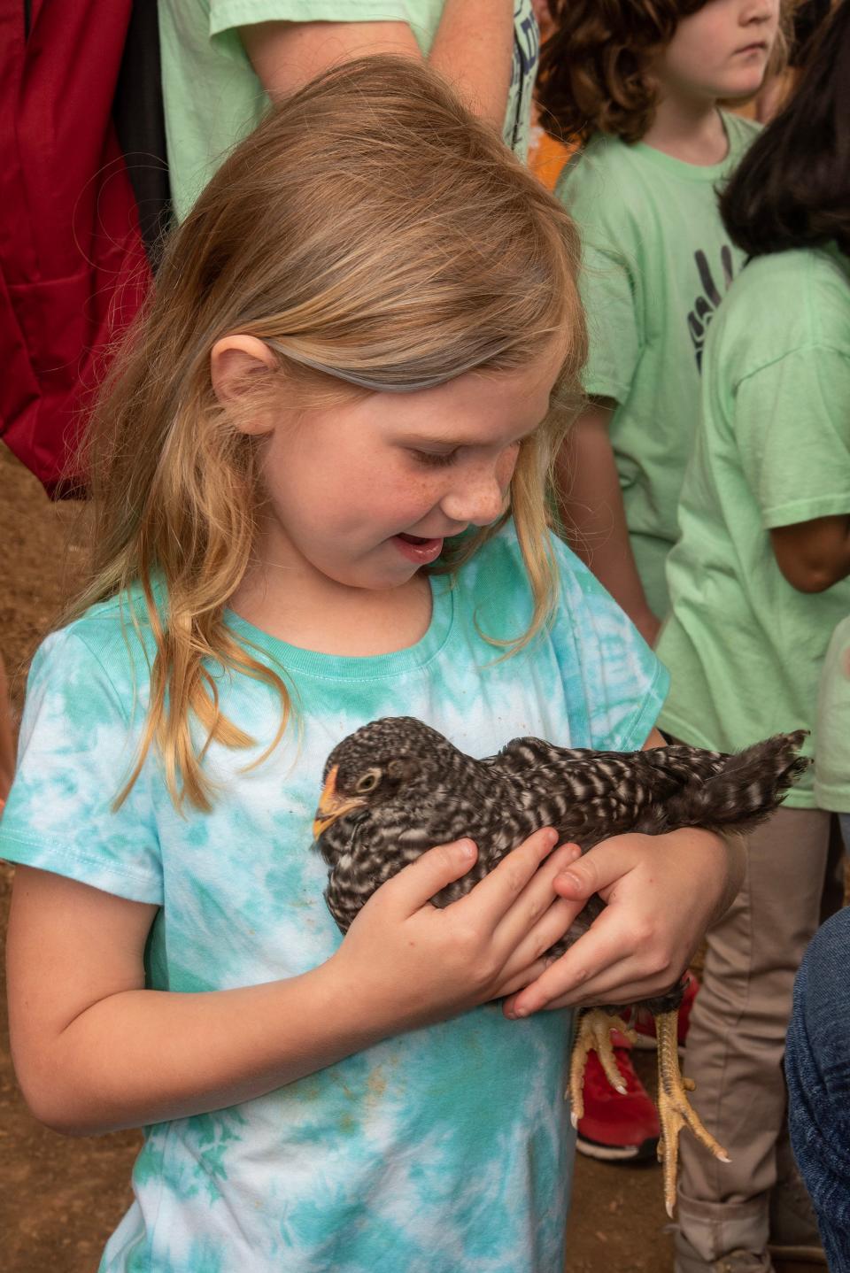 Kindergarten student Haven McKee, 6, holds a chicken at the 2023 Knox County Farm Bureau Farm Day on Tuesday May 16, 2023.