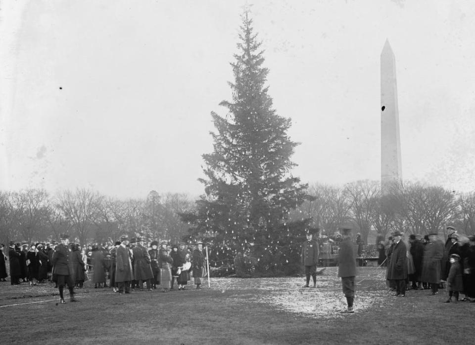 People gather around the National Christmas Tree in 1929.