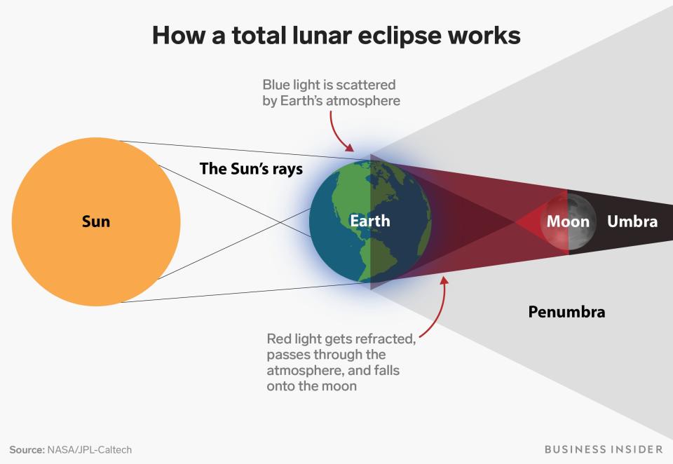how total lunar eclipse works blood moon umbra penumbra earth shadow refraction diagram physics nasa shayanne gal business insider graphics