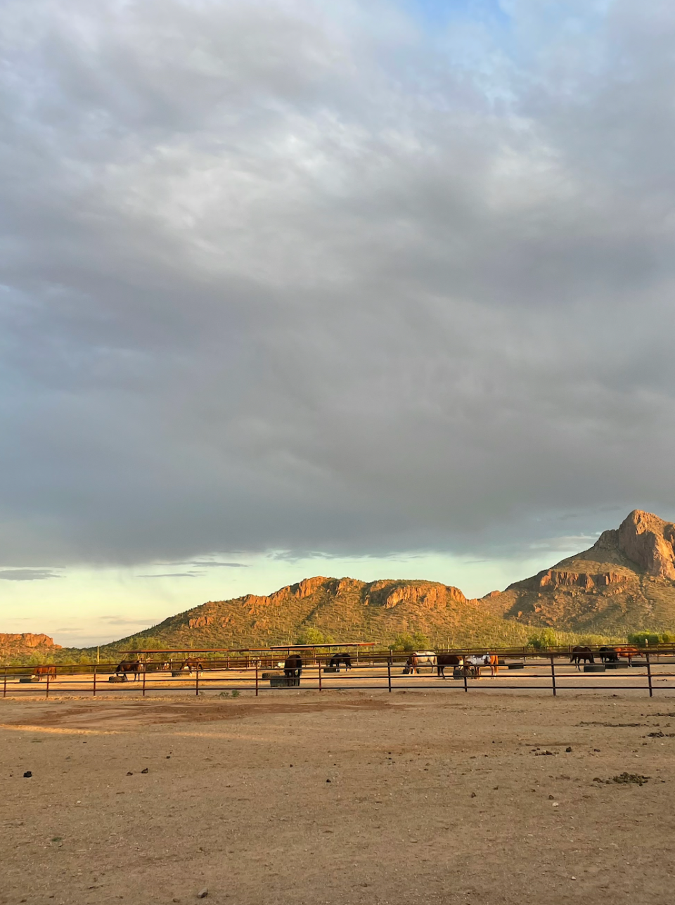 The horseback rides are varied and comfortable, even for first-time riders like my mom.