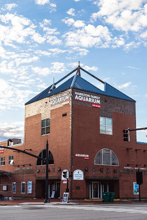 Save The Bay's Hamilton Family Aquarium, located at 23 America's Cup Ave. in downtown Newport, opens March 28.