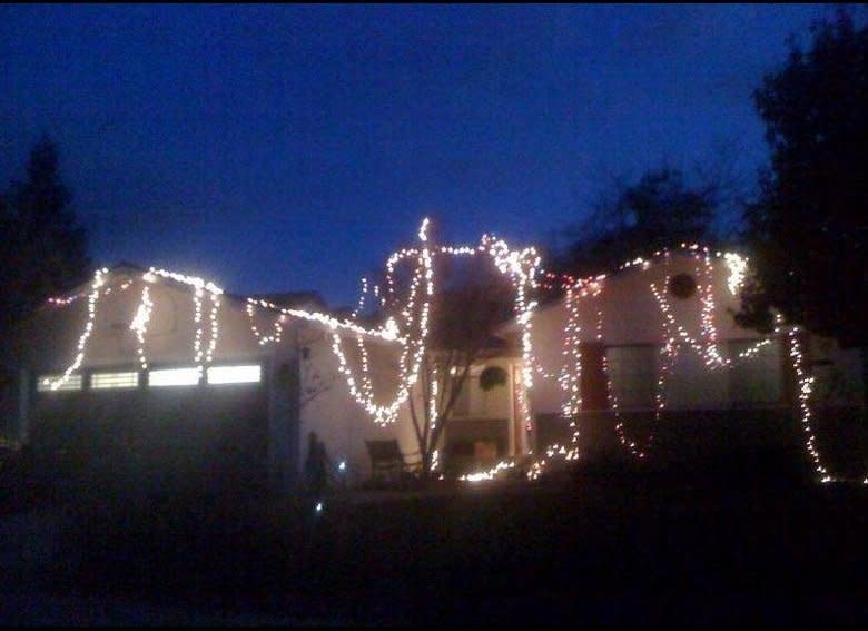 Take that, neighbors who wasted hundreds of lights and hours of manpower creating dubstep-synced light displays.