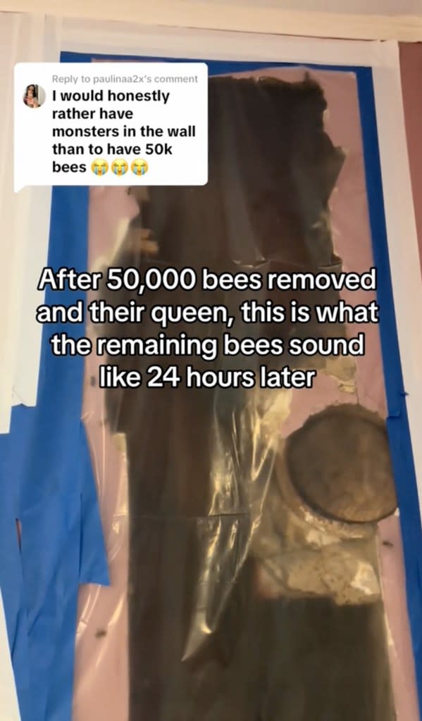 “When your daughter has been hearing ‘monsters’ in the walls,” Ashley described in the clip. “Turns out it was 50,000 bees buzzing.” TikTok/classashley