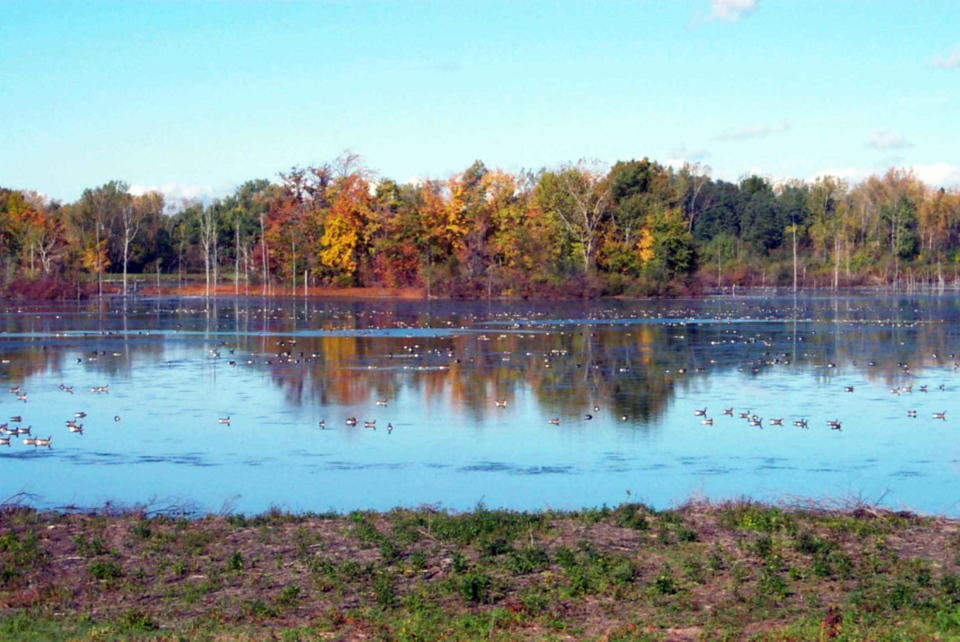 Iroquois National Wildlife Refuge in Basom