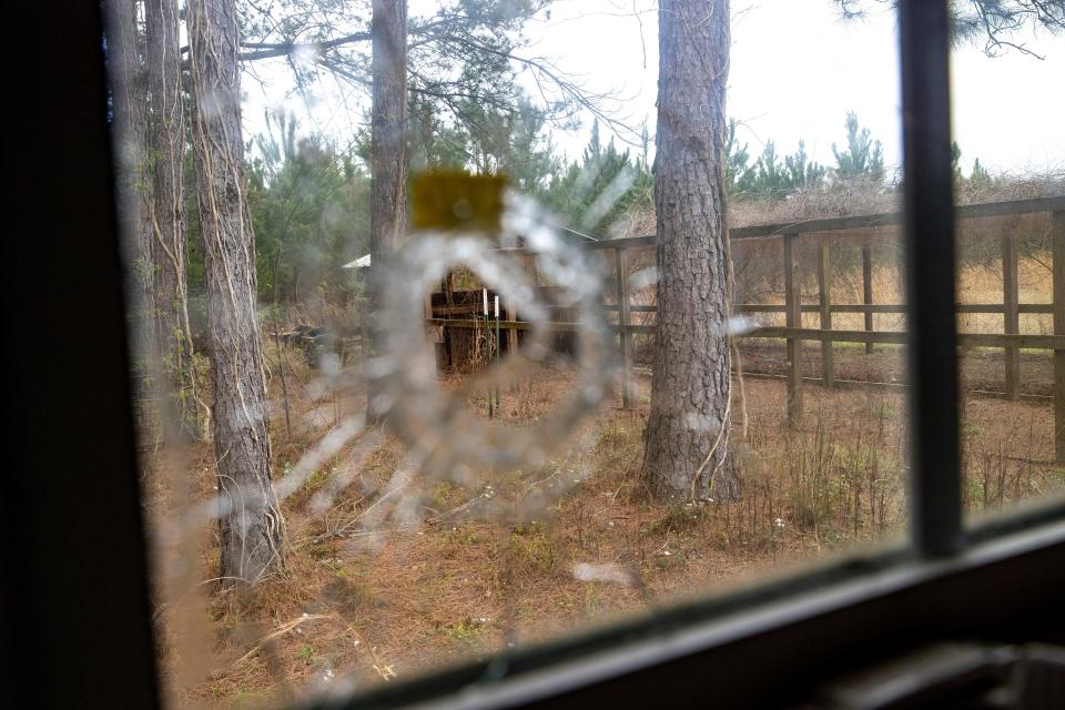 A bullet hole is seen from inside of the feed room at the Murdaugh Moselle property on Wednesday, March 1, 2023 in Islandton, South Carolina.