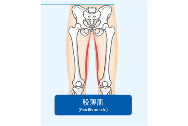 （圖片提供／方言文化）