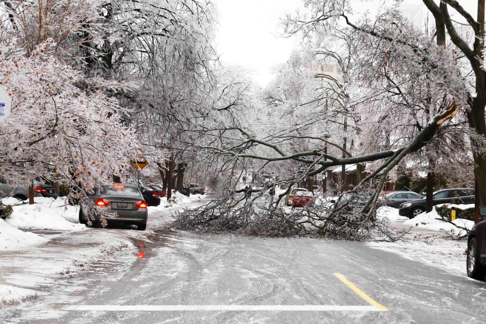 A vehicle tries to drive over a sidewalk to avoid an ice-covered tree branch that came down after freezing rain in Toronto, Ontario December 22, 2013. Thousands of households are without power in the Greater Toronto area following an overnight ice storm. REUTERS/Hyungwon Kang (CANADA - Tags: ENVIRONMENT)