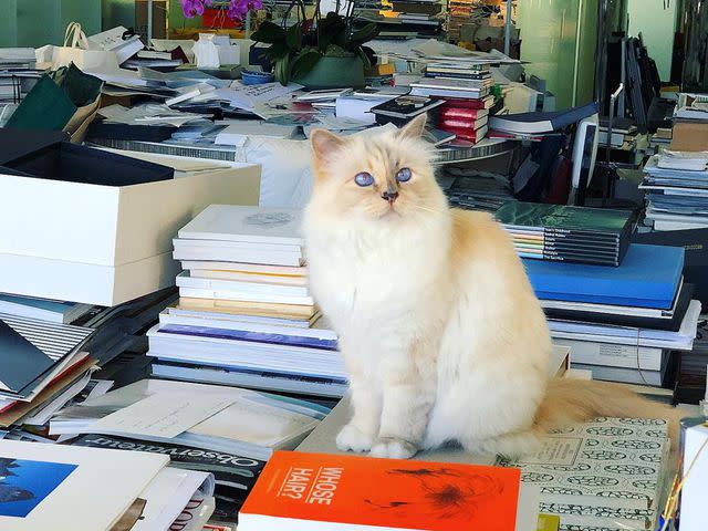 Choupette Lagerfeld Instagram