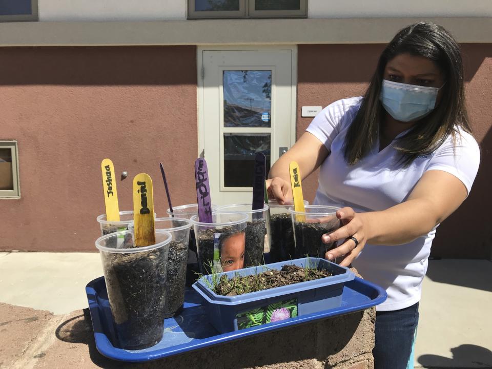 This May 4, 2021 image shows development director Ashley Martinez examining germinating seeds that were planted by students at Cuidando Los Ninos in Albuquerque, N.M. The charity provides housing, child care and financial counseling for mothers, all of whom will benefit from expanded Child Tax Credit payments that will start flowing in July to roughly 39 million households. (AP Photo/Susan Montoya Bryan)