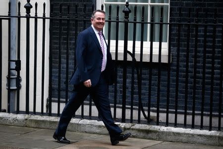 Britain's Secretary of State for International Trade Liam Fox arrives in Downing Street for a cabinet meeting, in London, November 15, 2016. REUTERS/Peter Nicholls