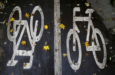 FILE PHOTO: Leaves are seen on a cycling track logo on a road in Paris, France, November 17, 2016. REUTERS/Jacky Naegelen/File Photo