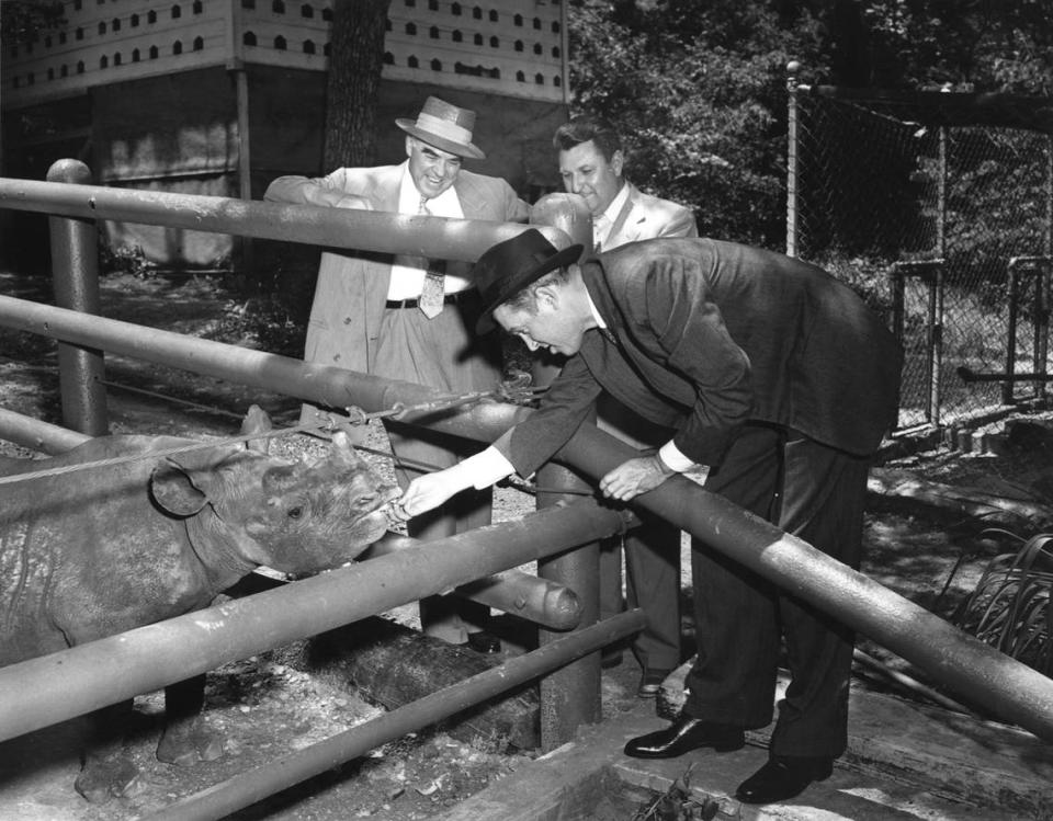 May 1953: Movie Star Jimmy Stewart, right, visiting Fort Worth took time out to visit another star, Marilyn Monroe, Forest Park Zoo’s new rhinoceros. Stewart, a member of the zoological board here, was accompanied on his zoo tour by F. Kirk Johnson, left, board president and Ham Hittson, park department director.